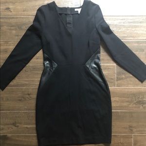 Banana Republic Bodycon Dress #2